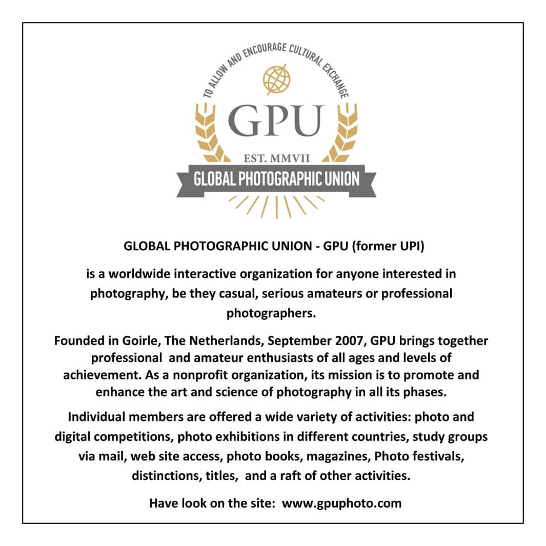 GOLDEN LION PHOTO CIRCUIT